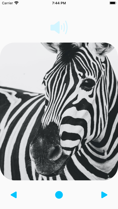Animal Sounds Player Screenshot
