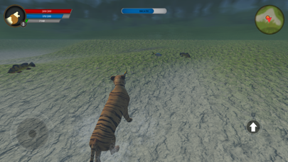 Asian Tiger Survival Simulator Screenshot