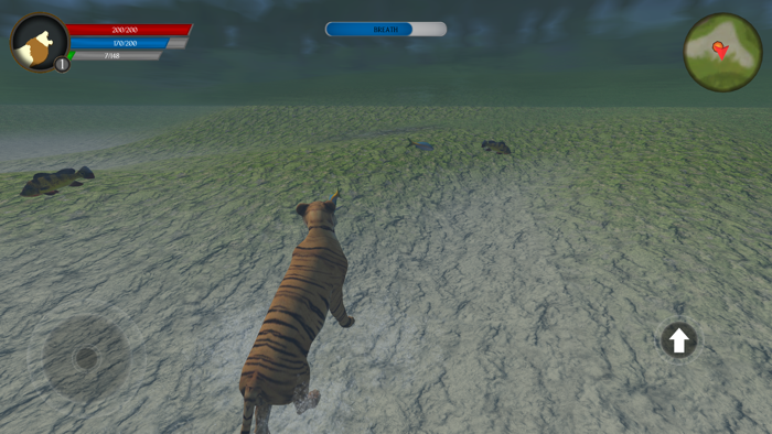Asian Tiger Survival Simulator