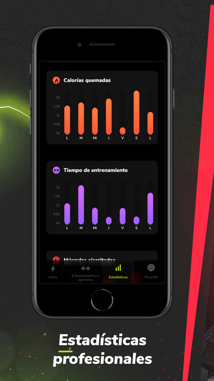 MassFit Fitness training