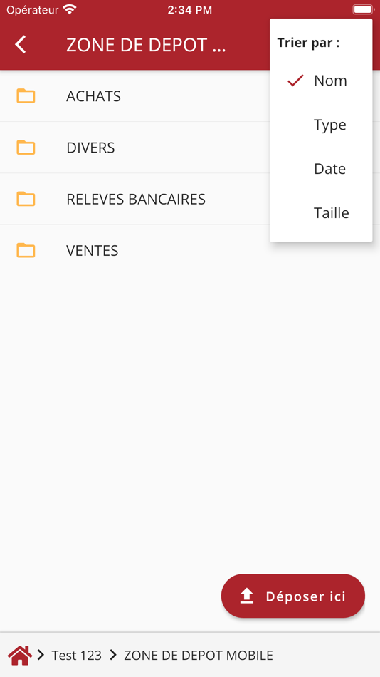 #4. CS CONSULTING (iOS) 由: MyCompanyFiles