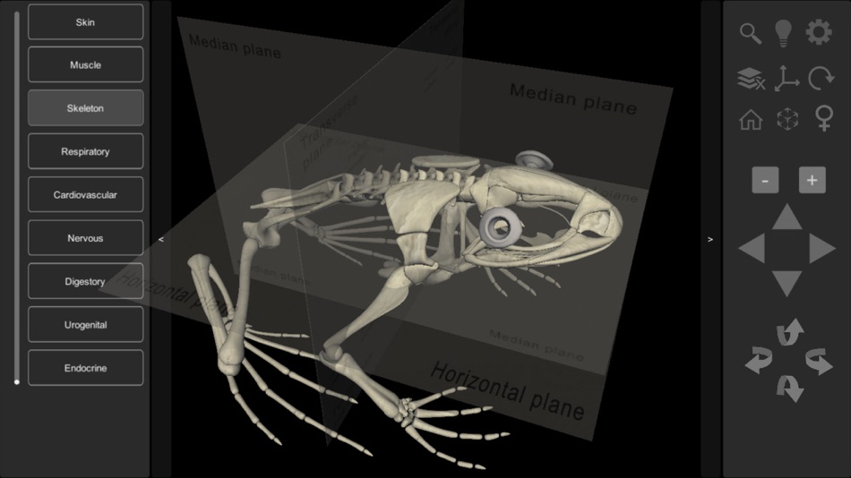 #3. 3D Frog Anatomy (iOS) Bởi: biosphera.org