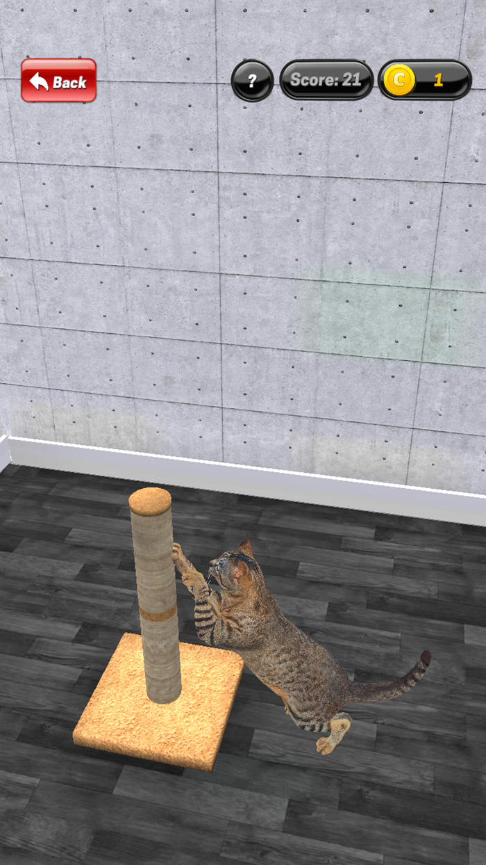 My Kitten Cat Simulator