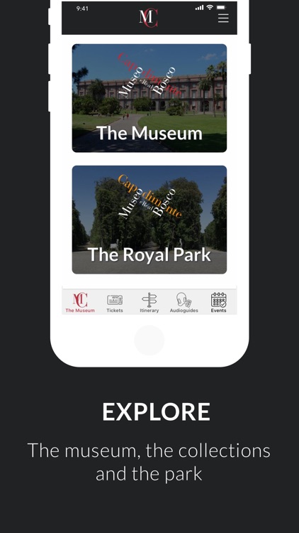Capodimonte Museum screenshot-3