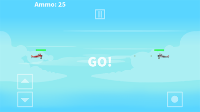 Dogfight Arcade Screenshot