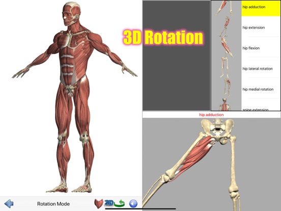 Visual Anatomy Screenshots