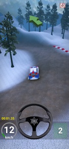 RallyMaster 3D screenshot #10 for iPhone