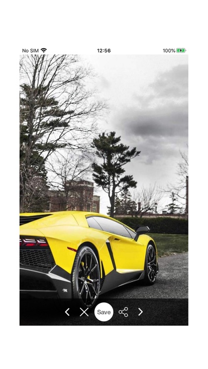 Lamborghini Picture Unofficial