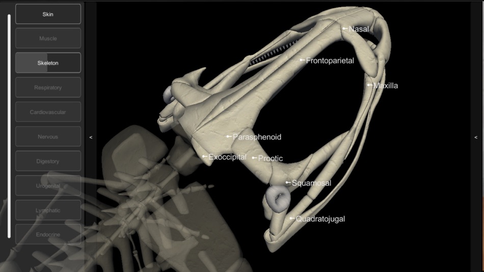 #6. 3D Frog Skeleton (iOS) Podle: biosphera.org