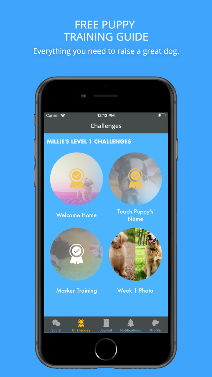 Social Puppy Dog Training App