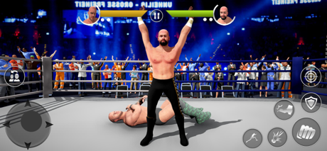 Hacks for Wrestling Revolution Mayhem 3D