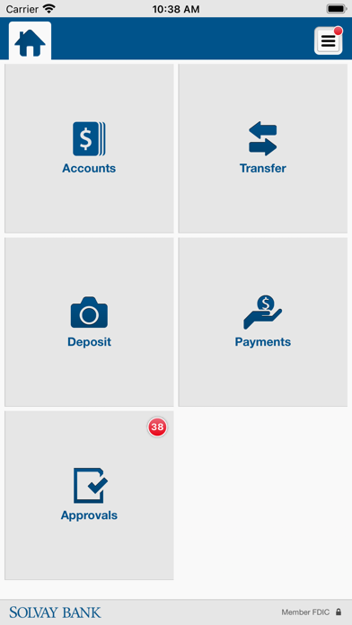 Solvay Bank Business Screenshot