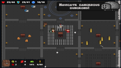 Dungeon Raiders Screenshot