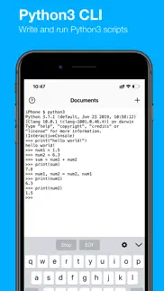 terminal emulator iPhone Captures Décran 2