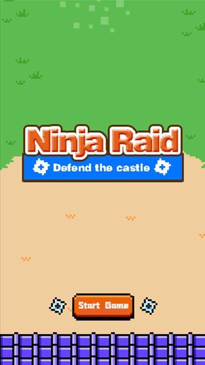 Ninja Raid