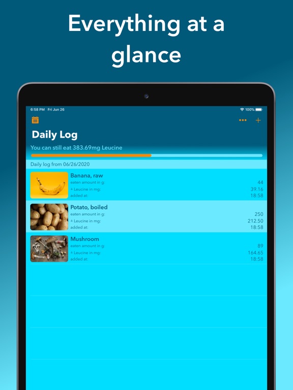 Screenshot #4 pour DietAssistant for MSUD