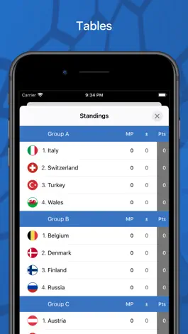 Game screenshot European Finals apk