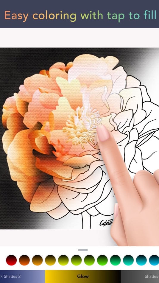 #3. Color Therapy Coloring Number (iOS) 由: Miinu Limited