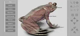 Game screenshot 3D Frog Anatomy hack