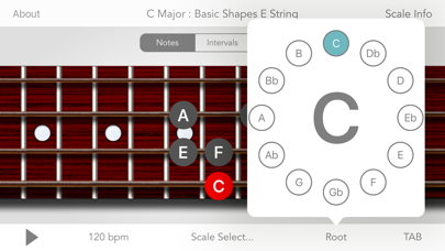 Scales For Bass Guitar Screenshot