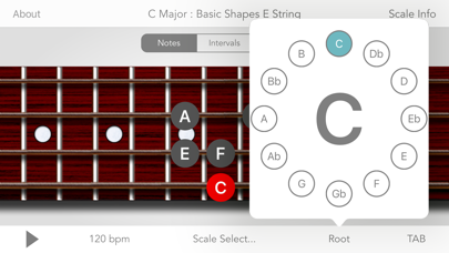 Scales For Bass Guitarのおすすめ画像3