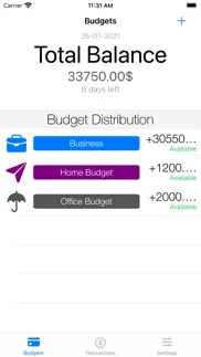 How to cancel & delete stay on budget 4