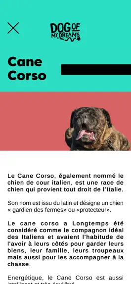 Game screenshot Dog of my dreams hack