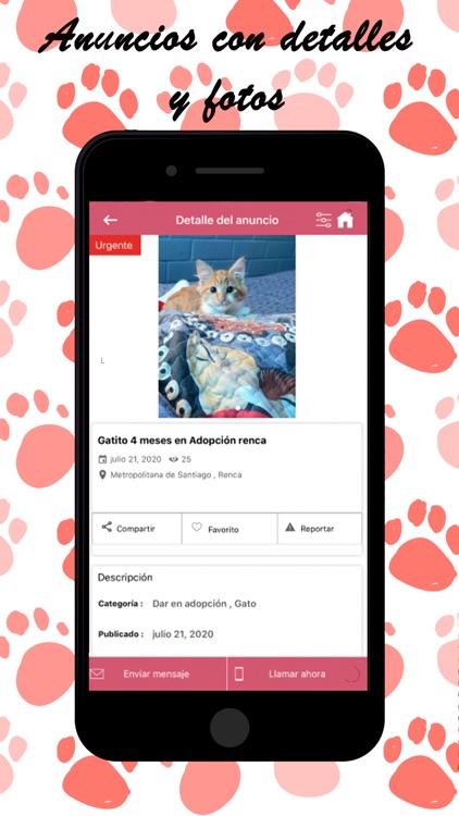 Ayuda mascotas Chile