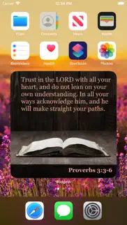 bible widget + iphone screenshot 2