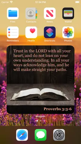 Game screenshot Bible Widget + apk