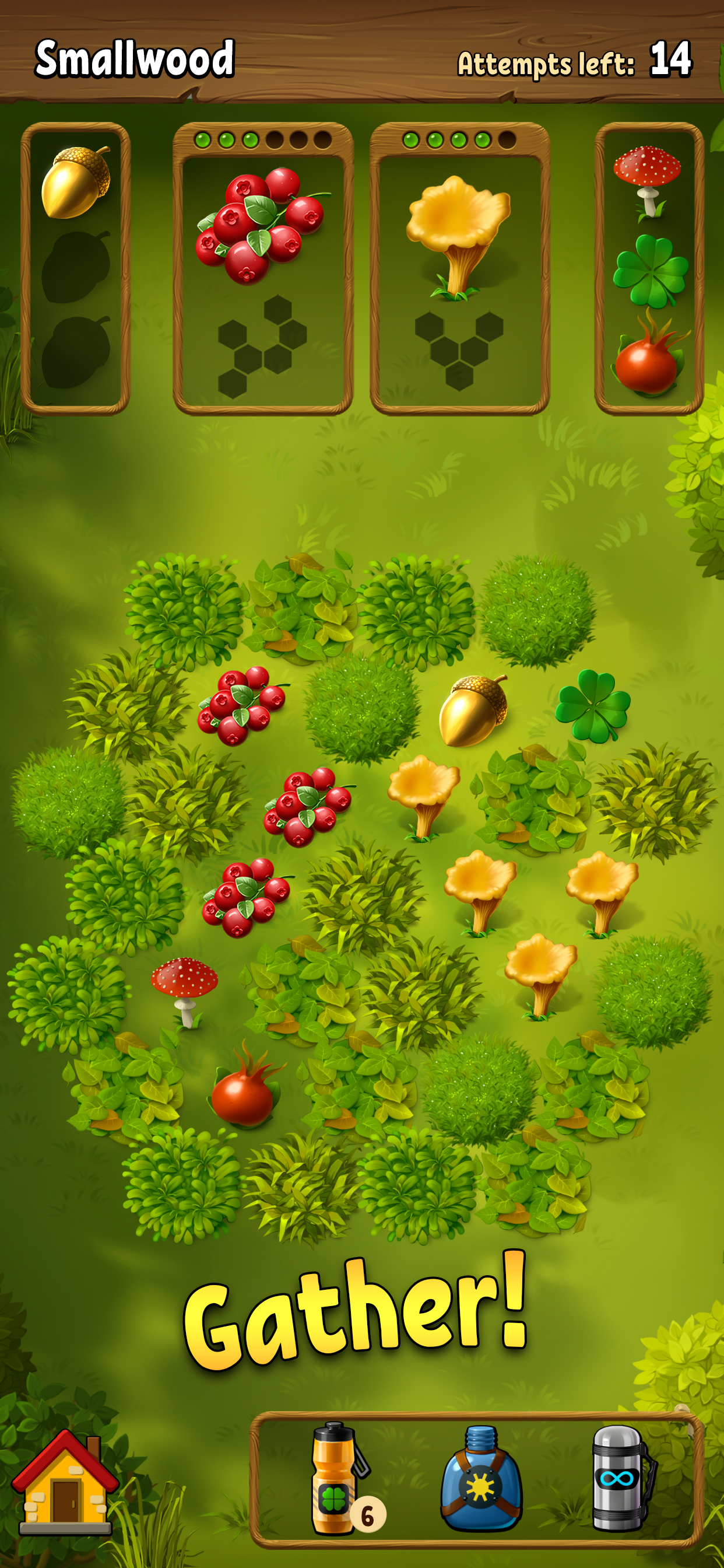 Forest Bounty