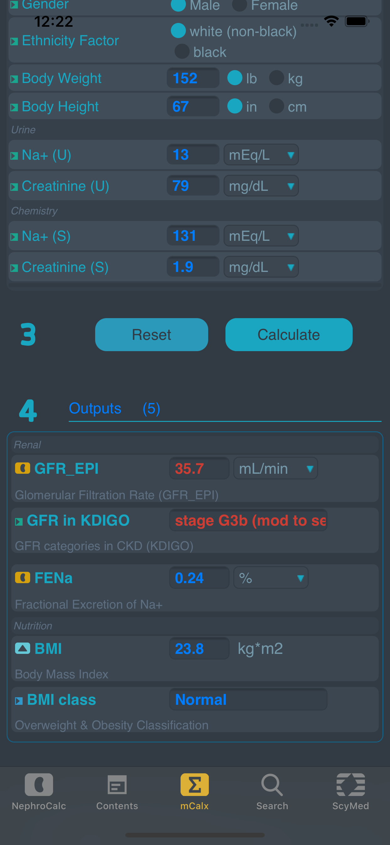 NephroCalc™