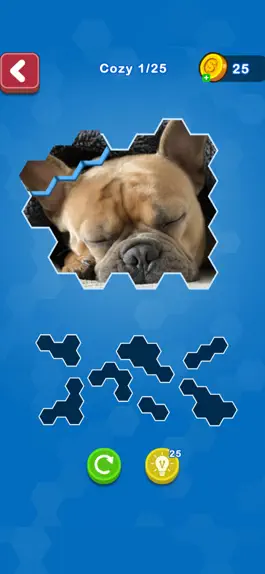 Game screenshot Hexa Puzzle Jigsaws hack