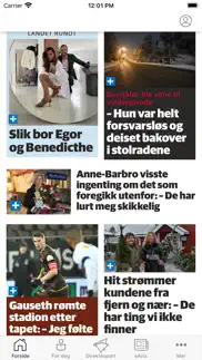 lierposten nyheter iphone screenshot 2
