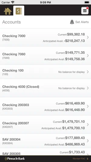 Pinnacle Bank Texas Business screenshot 4