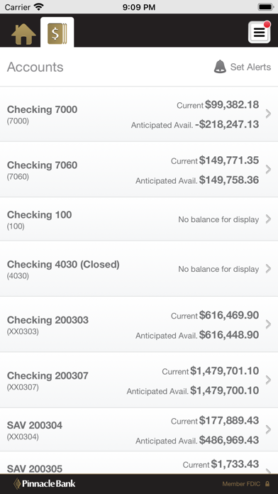 Pinnacle Bank Texas Business Screenshot