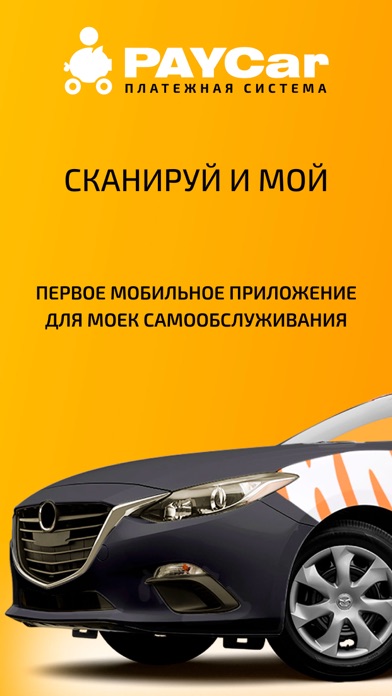 PAYCar WASHERCAR Screenshot