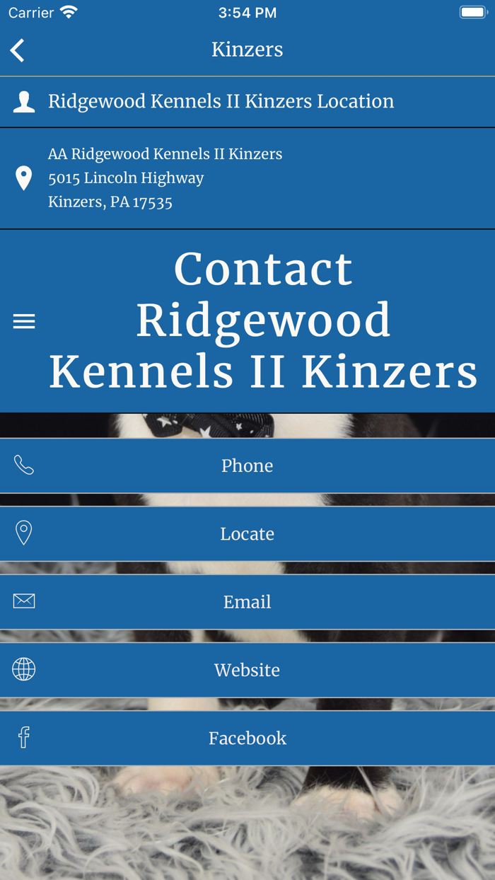 Ridgewood Puppies II