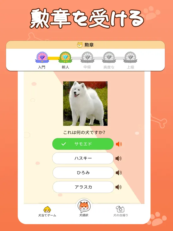 Iphone Ipadアプリ 犬鳴き声と犬語翻訳アプリ マルチメディア Applerank アップルランク