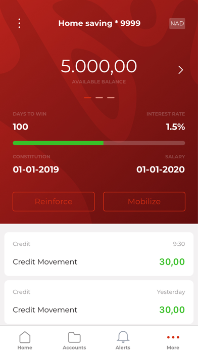 Bank BIC NA Limited Screenshot