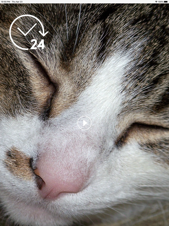 Screenshot #5 pour Noise store lite