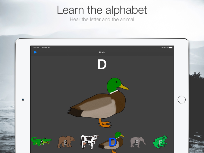 Alphabet of Animals