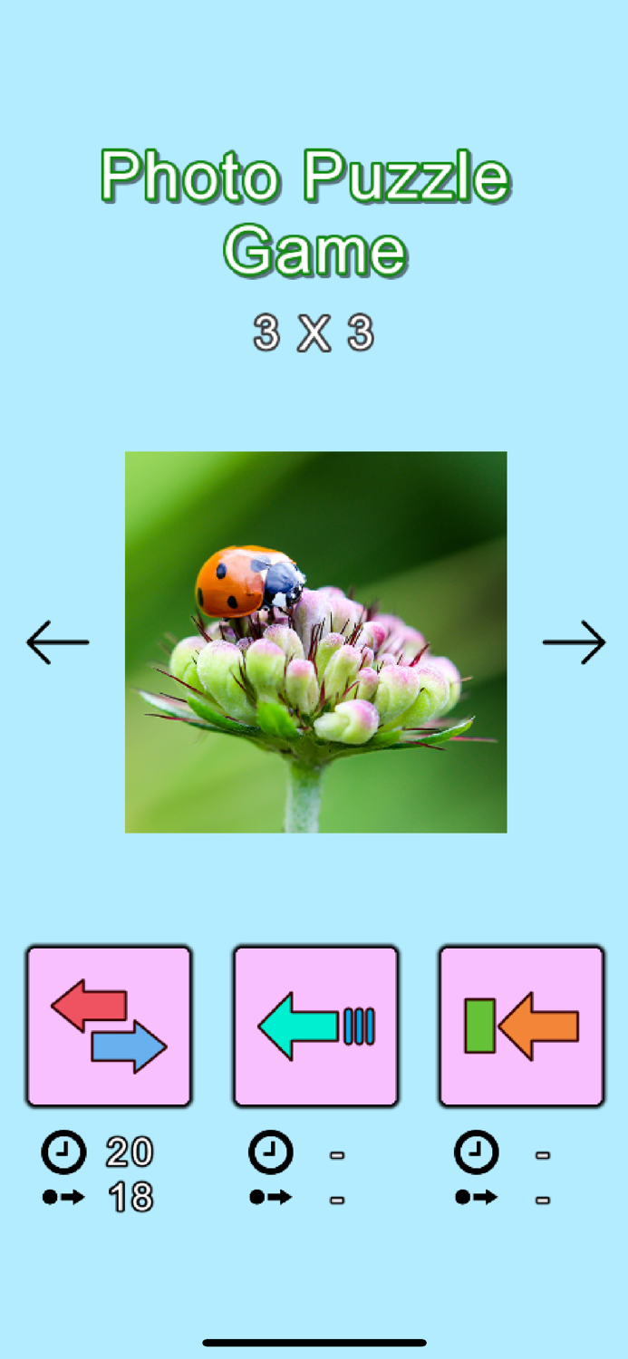 Photo Logic Game
