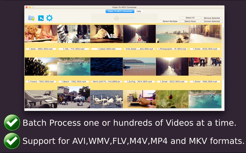 Screenshot #2 pour Video To MOV Converter