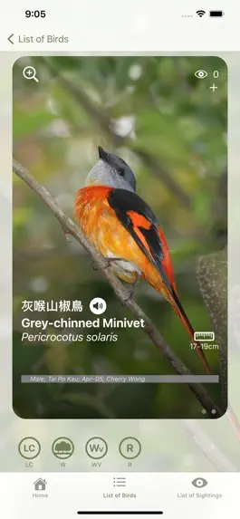 Game screenshot HKBirds: Birds of Hong Kong hack