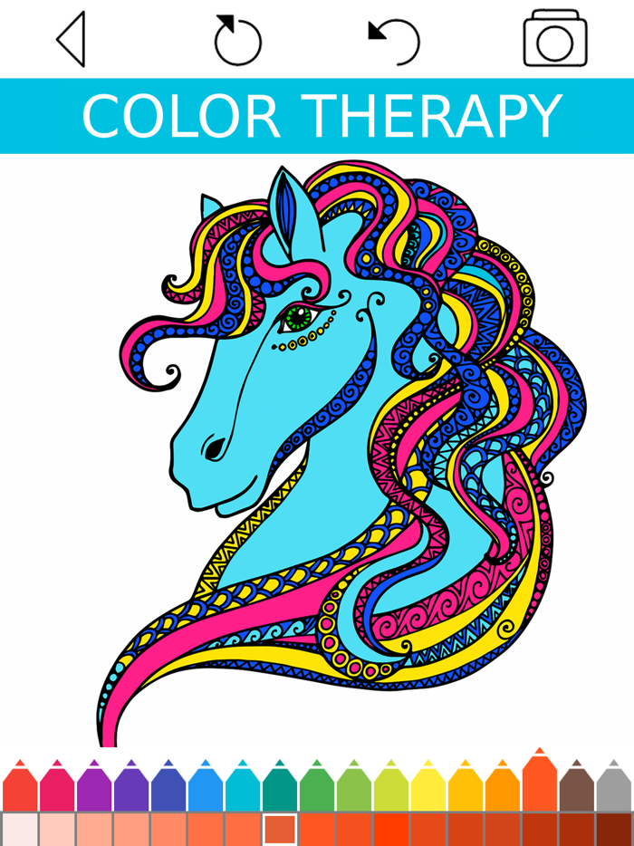 Animal Coloring Book -