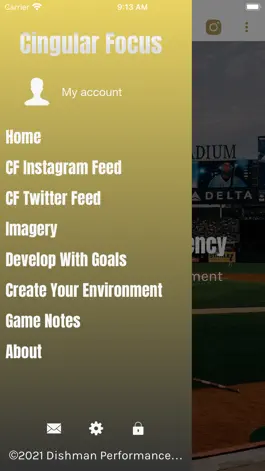 Game screenshot Dishman Performance Baseball mod apk