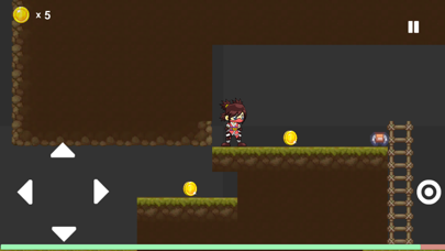 Ninja Runner - Platformer Game Screenshot