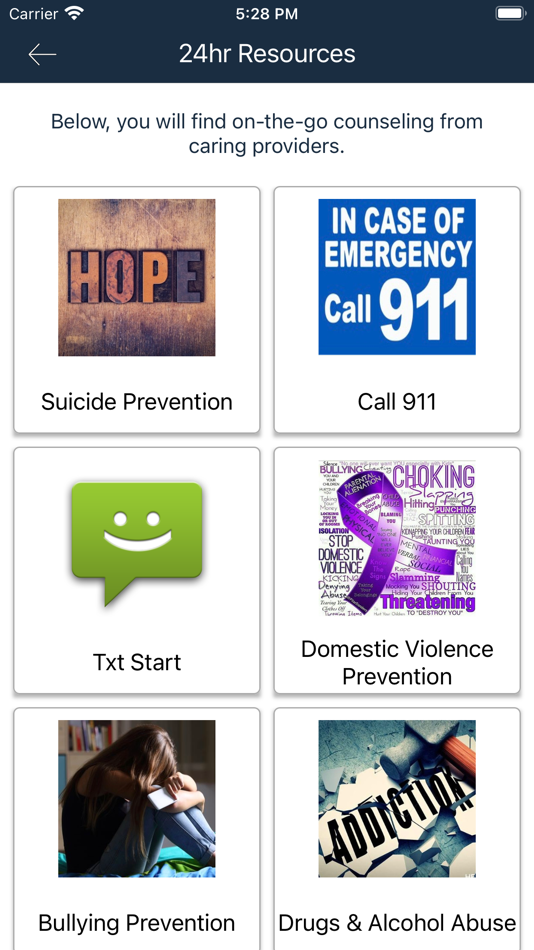 #4. CSTips (iOS) Ved: SafeGuard Systems, Inc.