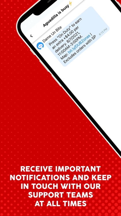 Drivers DUB screenshot-5